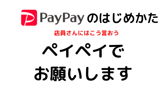 Paypay ダイソー